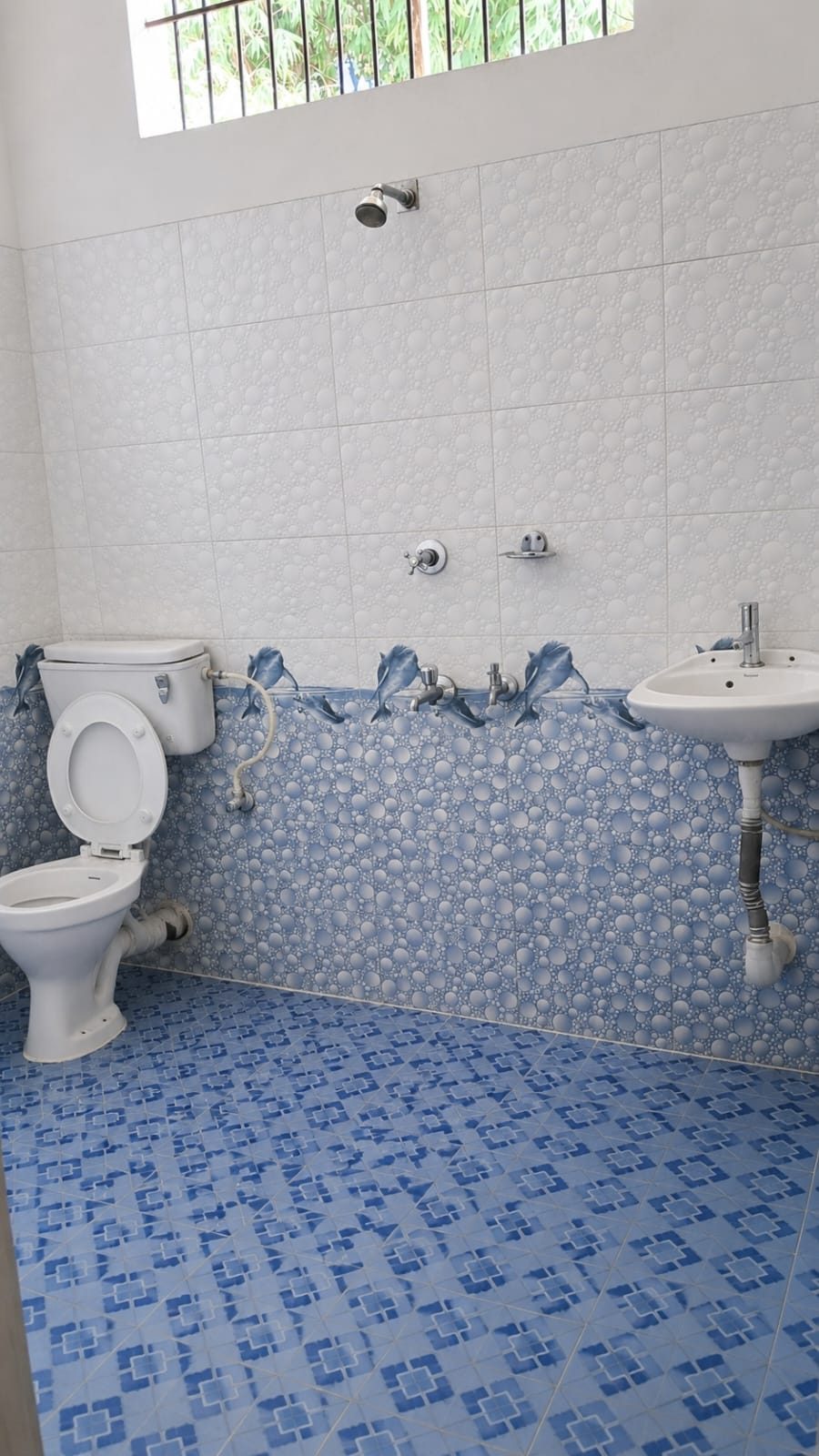 Single Room PG — media 3
